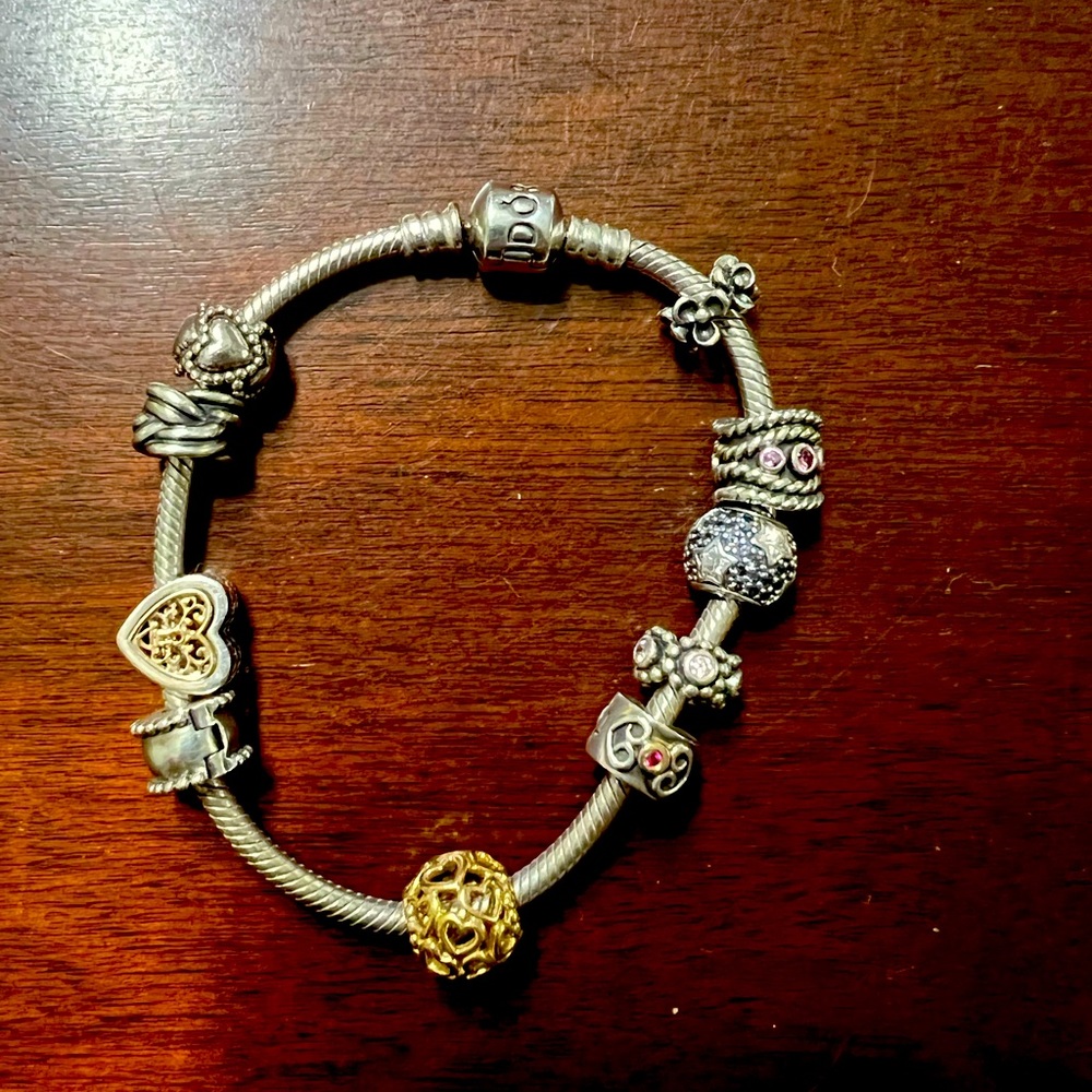 Pandora Bracelet